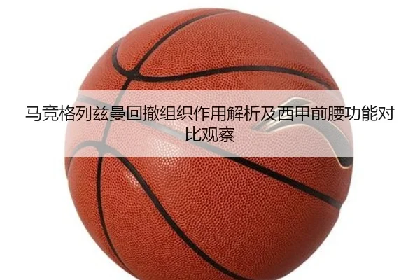 马竞格列兹曼回撤组织作用解析及西甲前腰功能对比观察（kaiyun）